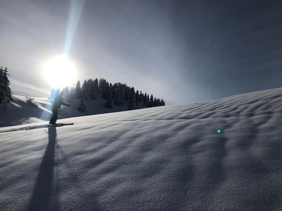 Studio Chaleureux Au Depart Des Sentiers Et Pistes De Ski Lajoux Eksteriør bilde