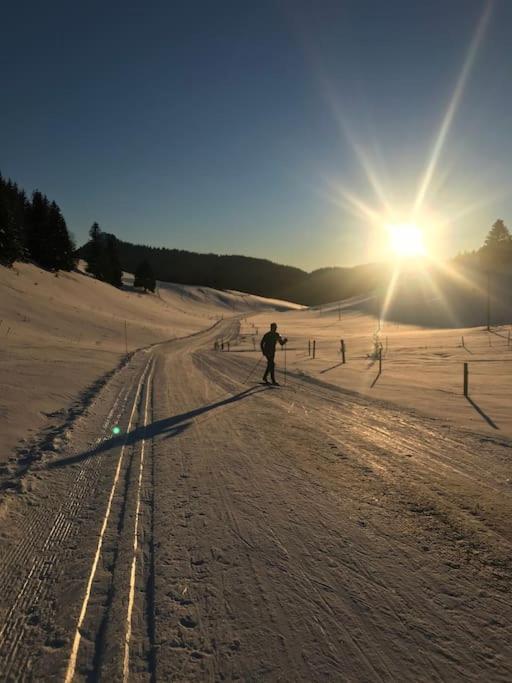Studio Chaleureux Au Depart Des Sentiers Et Pistes De Ski Lajoux Eksteriør bilde