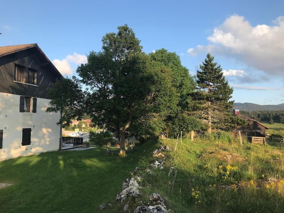 Studio Chaleureux Au Depart Des Sentiers Et Pistes De Ski Lajoux Eksteriør bilde